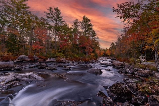 view of nature at dusk