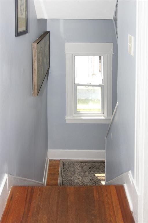 103 Monrovia St, Springfield, MA 01104 - stairway with baseboards and wood finished floors