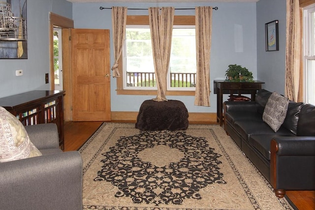 103 Monrovia St, Springfield, MA 01104 - living room featuring wood finished floors