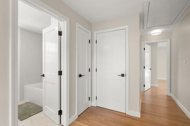 110 Westover Pkwy, Norwood, MA 02062 - hall with attic access, light wood-style floors, and baseboards