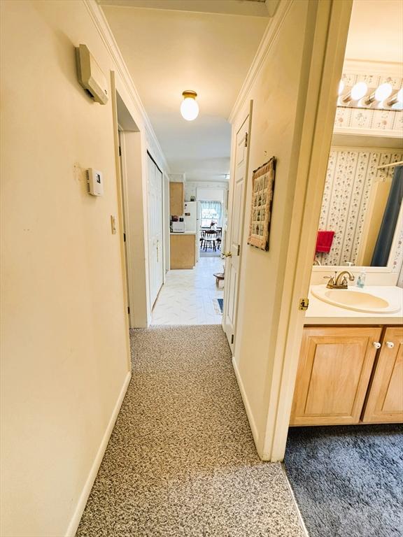 38 Trailwood Dr, Bridgewater, MA 02324 - hallway with carpet flooring and ornamental molding