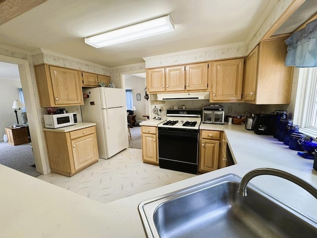 38 Trailwood Dr, Bridgewater, MA 02324 - kitchen featuring white appliances, ornamental molding, extractor fan, light countertops, and light brown cabinets