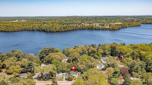 191 Speen, Natick, MA 01760 - aerial view of a heavily wooded area and a nearby body of water