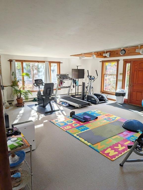 exercise room featuring a healthy amount of sunlight and carpet floors