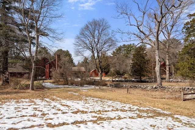 view of yard covered in snow