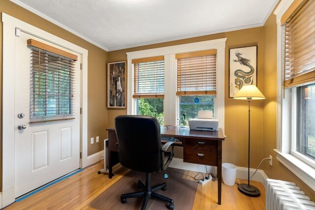 24 Aspen Ave, Newton, MA 02466 - office area with radiator, wood finished floors, and crown molding