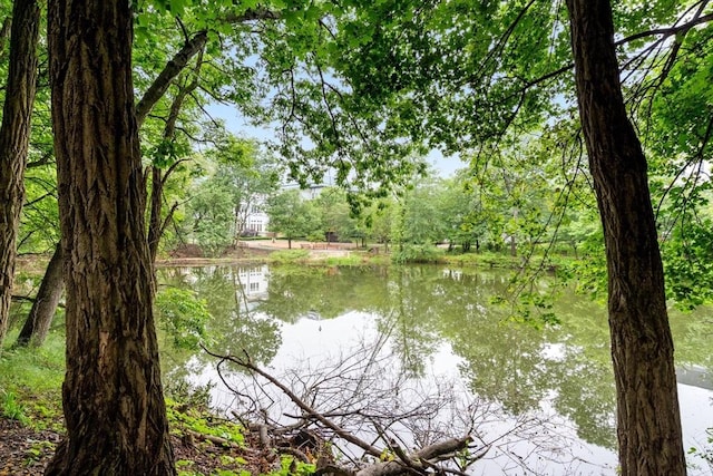 24 Aspen Ave, Newton, MA 02466 - water view