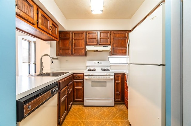 kitchen featuring under cabinet range hood, white appliances, a sink, light countertops, and brown cabinetry