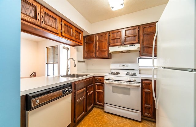 kitchen with under cabinet range hood, white appliances, a sink, light countertops, and brown cabinetry