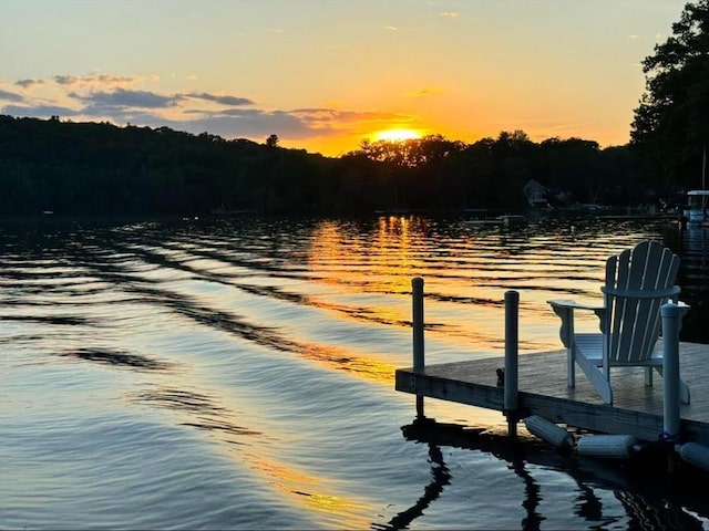 10 Kibbe Point Rd, Otis, MA 01253 - dock area with a water view and a forest view