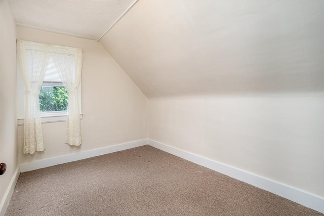119 Clark St, Clinton, MA 01510 - bonus room with carpet, baseboards, and lofted ceiling