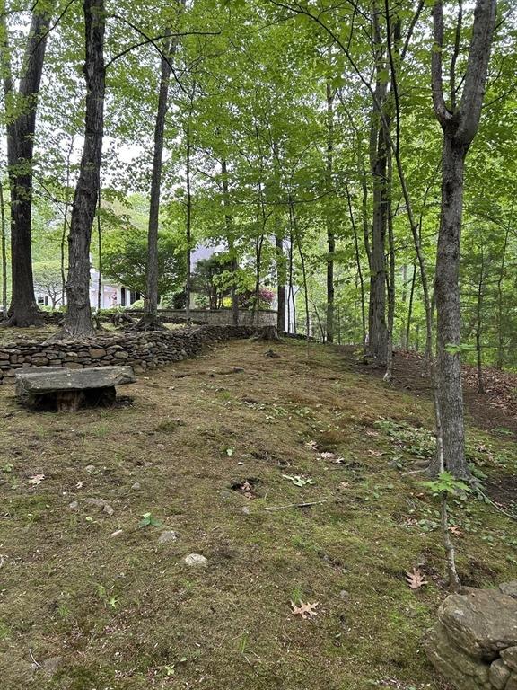 210 Wales Rd, Monson, MA 01057 - view of yard