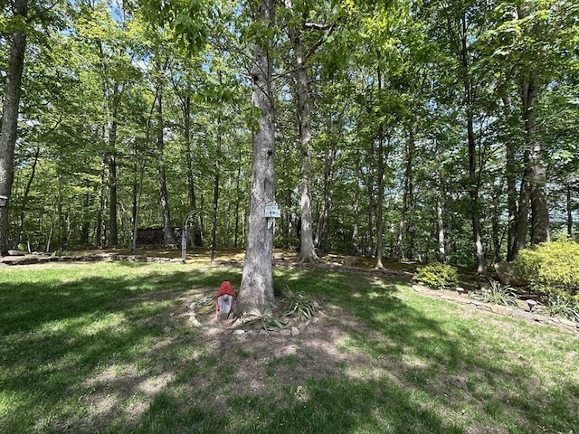 210 Wales Rd, Monson, MA 01057 - view of grassy yard