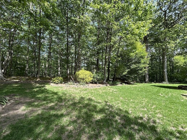 210 Wales Rd, Monson, MA 01057 - view of green lawn