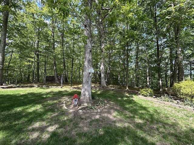 210 Wales Rd, Monson, MA 01057 - view of grassy yard