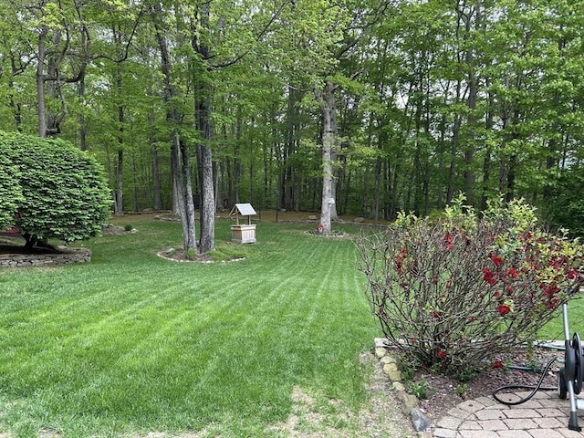 210 Wales Rd, Monson, MA 01057 - view of green lawn