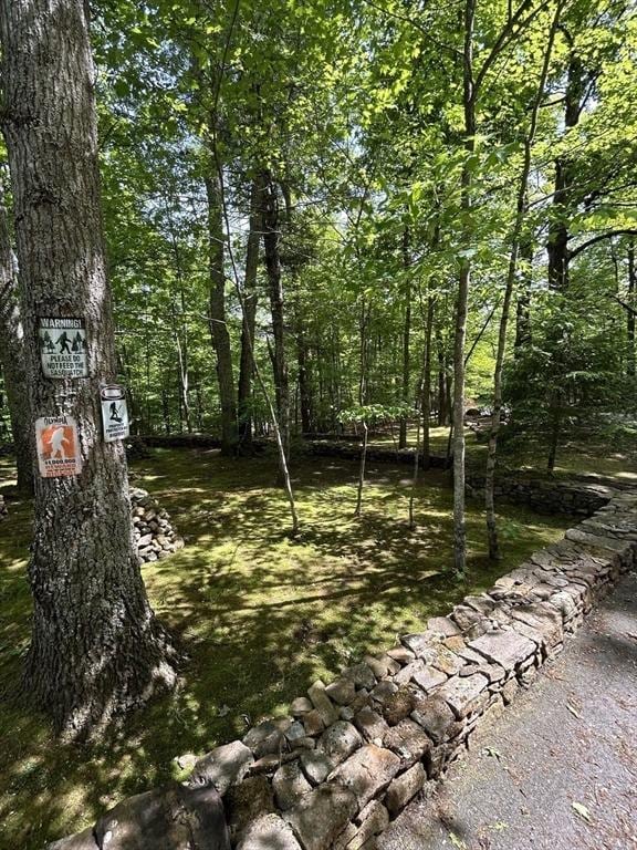 210 Wales Rd, Monson, MA 01057 - view of yard with a forest view