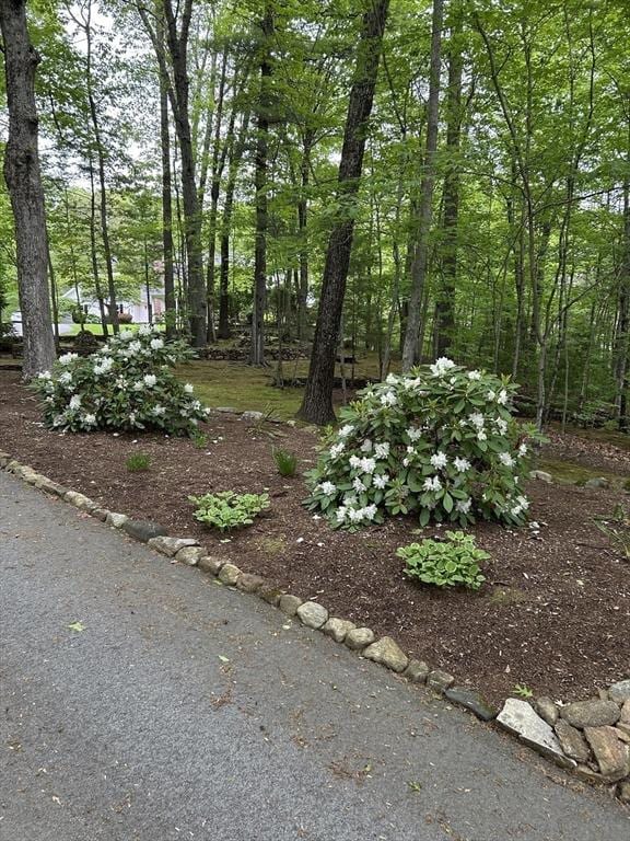 210 Wales Rd, Monson, MA 01057 - view of yard