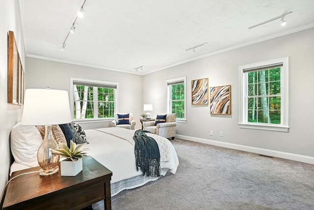 83 Partridge Hill Rd, Sutton, MA 01590 - bedroom featuring track lighting, ornamental molding, and carpet flooring