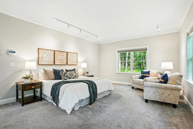 83 Partridge Hill Rd, Sutton, MA 01590 - carpeted bedroom with rail lighting and crown molding