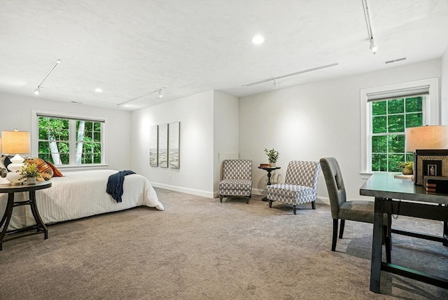 83 Partridge Hill Rd, Sutton, MA 01590 - bedroom with track lighting, carpet, and recessed lighting