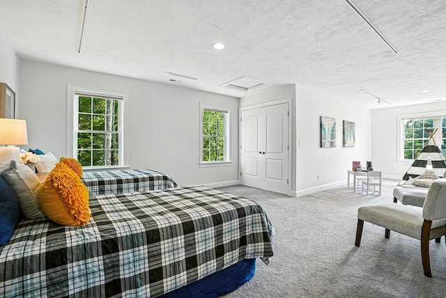 83 Partridge Hill Rd, Sutton, MA 01590 - carpeted bedroom featuring attic access, a textured ceiling, and a closet