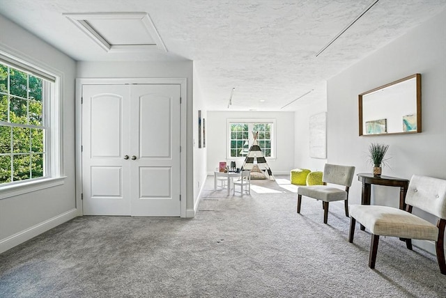 83 Partridge Hill Rd, Sutton, MA 01590 - living area featuring carpet and attic access