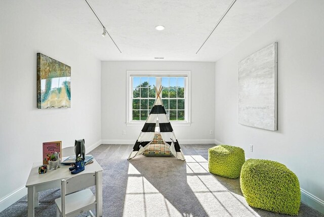 83 Partridge Hill Rd, Sutton, MA 01590 - game room featuring rail lighting and carpet flooring