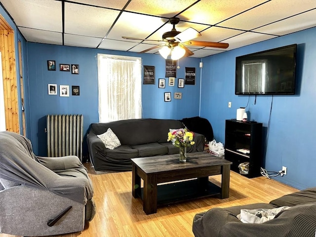 living room featuring hardwood / wood-style flooring, ceiling fan, radiator, and a drop ceiling