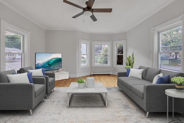 484 Rollstone St, Fitchburg, MA 01420 - living area featuring a baseboard radiator, wood finished floors, healthy amount of natural light, a ceiling fan, and crown molding