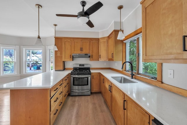 484 Rollstone St, Fitchburg, MA 01420 - kitchen featuring stainless steel range with gas stovetop, under cabinet range hood, a peninsula, and light countertops