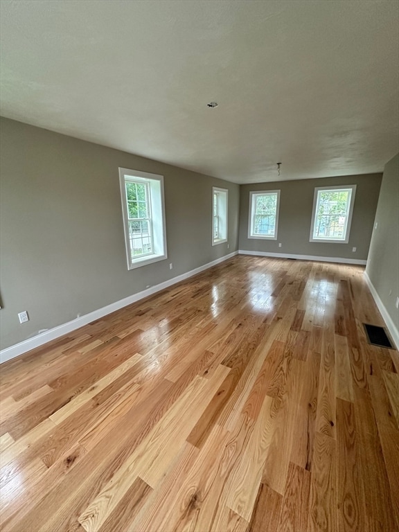 spare room featuring a wealth of natural light and light wood-type flooring