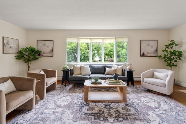 61 Sevland Rd, Newton, MA 02459 - living room featuring wood finished floors and a baseboard radiator