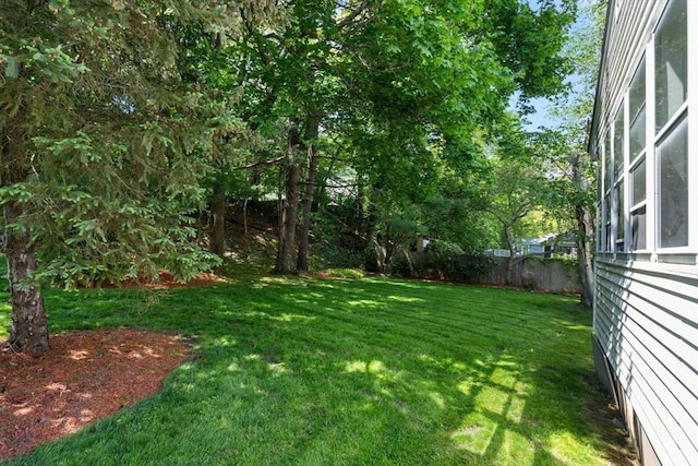 61 Sevland Rd, Newton, MA 02459 - view of yard