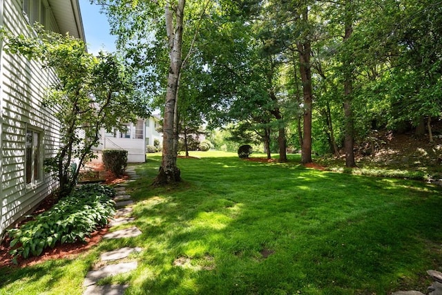61 Sevland Rd, Newton, MA 02459 - view of grassy yard