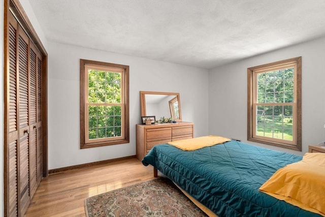 16 Parmenter Rd, Framingham, MA 01701 - bedroom featuring light wood-type flooring, multiple windows, and a closet