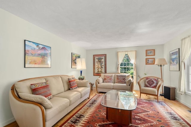16 Parmenter Rd, Framingham, MA 01701 - living area featuring wood finished floors and baseboards