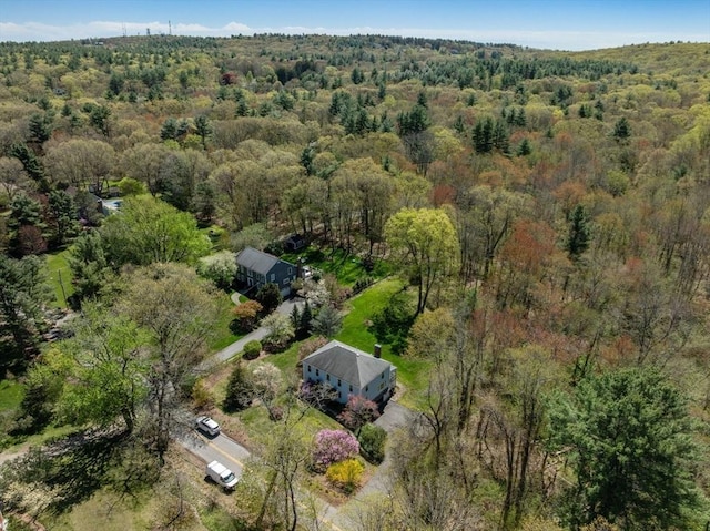 16 Parmenter Rd, Framingham, MA 01701 - aerial overview of property's location featuring a heavily wooded area