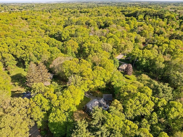 154 Mann Lot Rd, Scituate, MA 02066 - view of property location featuring a forest