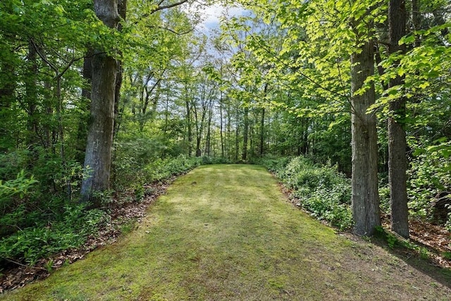 154 Mann Lot Rd, Scituate, MA 02066 - view of green lawn featuring a forest view