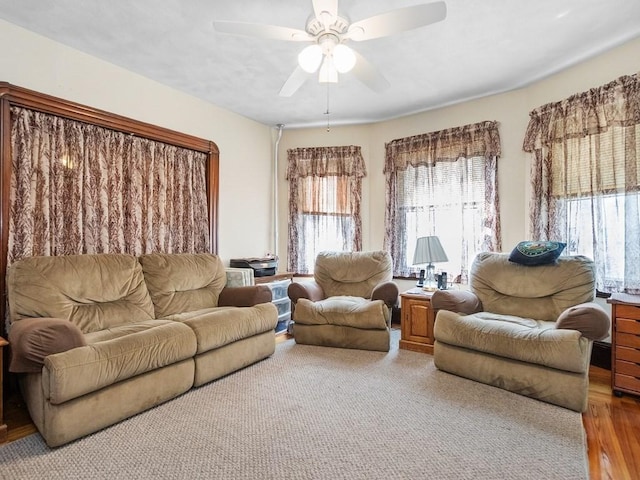 210-212 Brown St, Waltham, MA 02453 - living area featuring a ceiling fan and light wood-style flooring