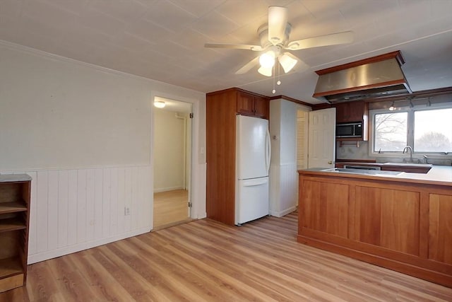 kitchen featuring light hardwood / wood-style floors, ceiling fan, crown molding, sink, and white fridge