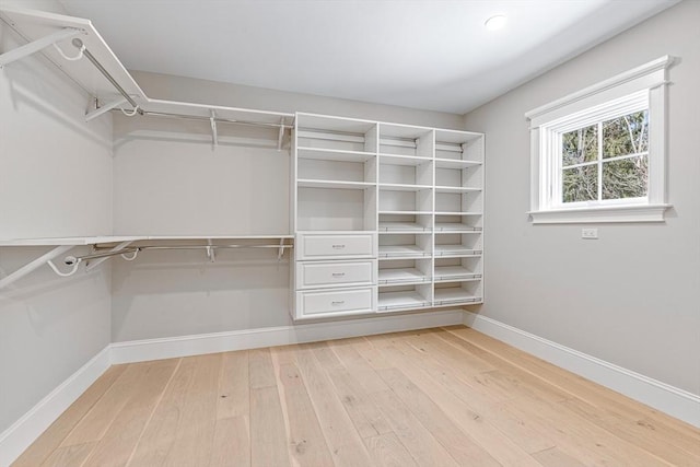 walk in closet with hardwood / wood-style flooring