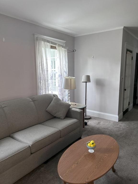 286 Fisher St, Walpole, MA 02081 - living room featuring carpet flooring and ornamental molding