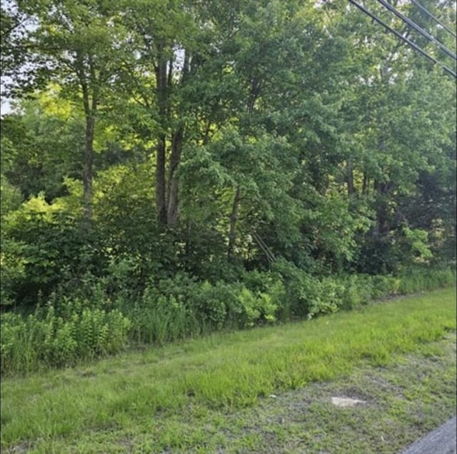 LOT230-25 Stebbins, Belchertown MA, 01007 land for sale