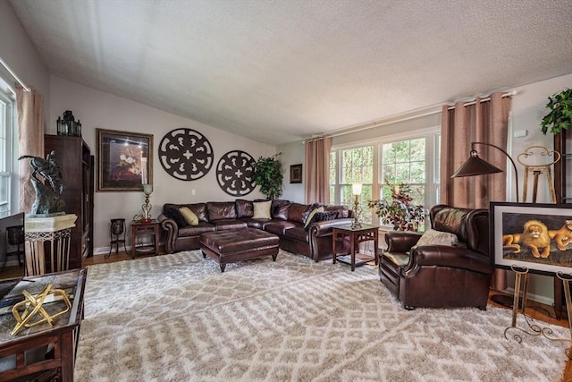 living room featuring lofted ceiling and a textured ceiling