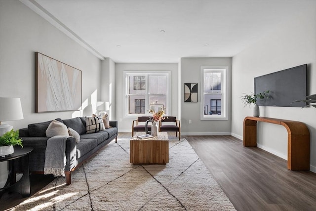 33 Copeland Unit F, Boston, MA 02119 - living room featuring wood finished floors and baseboards