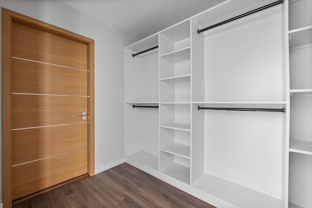33 Copeland Unit F, Boston, MA 02119 - spacious closet featuring dark wood finished floors