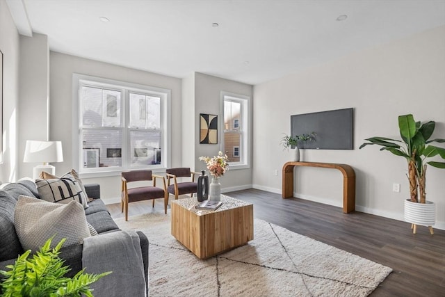 33 Copeland Unit F, Boston, MA 02119 - living area with wood finished floors