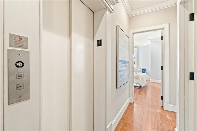 hall featuring crown molding and wood-type flooring